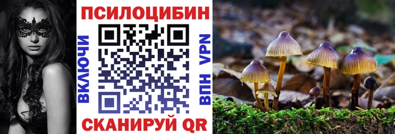 Галлюциногенные грибы Psilocybine cubensis omg как зайти Фурманов