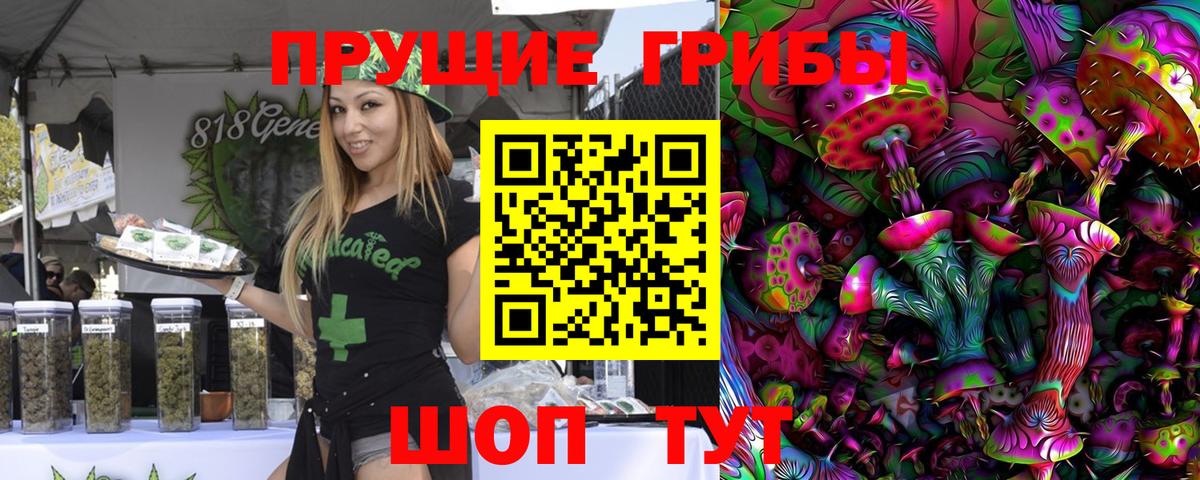 Псилоцибиновые грибы GOLDEN TEACHER  Фурманов  Псилоцибиновые грибы Psilocybine cubensis 