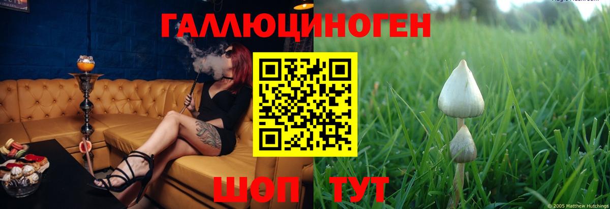 Галлюциногенные грибы Cubensis  Псилоцибиновые грибы Psilocybe  Вход с VPN  как найти закладки  Фурманов 