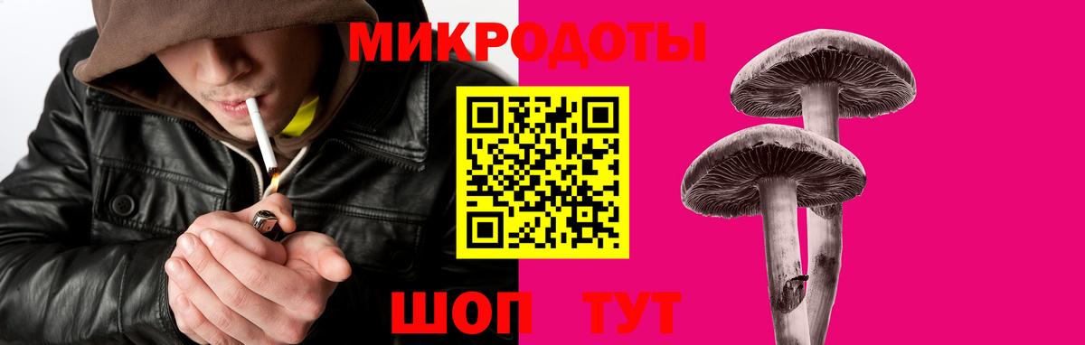 Галлюциногенные грибы Psilocybe Фурманов